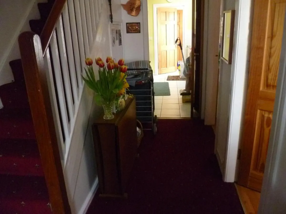Comfy Wee House Bed & Breakfast Belfast